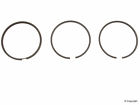43011 061 292 Wd Express Engine Piston Ring