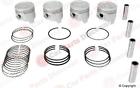 1310111081050 Npr New Piston Set 884109011637