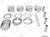 1310135032100 Npr New Engine Piston Set 884109011705