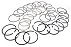 17430.19 Omix-ada Piston Ring Set 804314029609