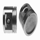 224-2511.020 Clevite Engine Piston-piston Individual
