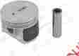 2341037317 Genuine New Engine Piston 884109566465
