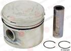 272010 Mahle New Piston W-rings 884109011903