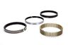 2m5528005 Hastings In Bore Piston Rings Kit