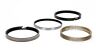 2m5581045 Hastings In Bore Piston Rings Kit