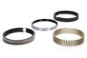 2m661020 Hastings In Bore Piston Rings Kit
