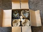 6160303817 3014 Mtc Engine Piston Set Of Mercedes Benz