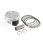 316-05-0020 Skunk2 Wiesco Piston And