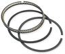 3820gnx Wiseco Xx Piston Ring Set