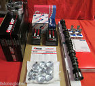 260-1045 421-500 E920p Changes Falcon Chevy Stage Master Engine Kit Pistons Bearings Gaskets