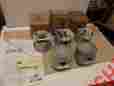 3420214 440eng Mopar Nos Lot Of 5 Engine Pistons W Pins Std 68-70 Cars 3004535