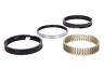 661030 Hastings In Bore Piston Rings Kit