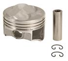 W69p30 69p 30 Sealed Power Pistons Cast Dome Bore Buick Set 724956365531