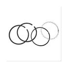 89017484 Chevrolet Performance Piston Ring