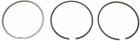 930 103 986 00 Mahle Piston Ring Set Standard Mm 4009026568873