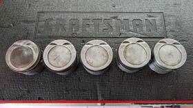 034107065 Audi Used Oem 81mm Piston With Rings And Wrist Pin