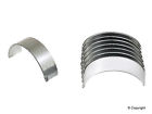 B70121 Std Wd Express Mahle