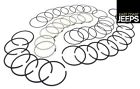 17430.31 Cj Set Jeep 71-80 5.9l Ring Std Omix-ada Piston
