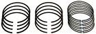 E-924k -924k Engine Piston Set Sealed Power Ring