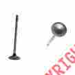 Ev158 Dnj Engine Components Exhaust Valve