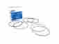 F6tz-6148-cc Ford New Oem Piston Ring Kit 7.3 Powerstroke Diesel 1994-2003 E651k
