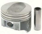 H418cp20 Sealed Power Cast Piston
