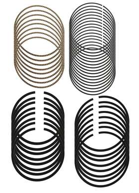 Sn9045070 Hastings Piston Rings Stainless Steel Performance Gas