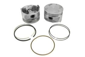 Ry6446-020 Itm Engine Components Piston Kit