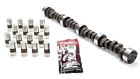 0.420-0.443 Kc1014r Speed Pro Sealed Power Hyd Flat Tap In Lift Sbc