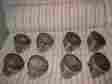 L-2249-n L2249n Trw Vintage 302 Ford Dommed Pistons Set Of 8 030 Over