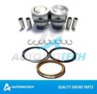 Pr093 Diamond Power Size Std Piston Rings Fits Gm 095509964526