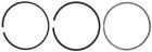 S42097.010 Mahle Engine Piston Ring 027067933164