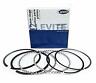 S50564cp Mahle Single Piston Ring Sbc Standard