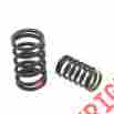 W0133-1630842-oea Original Equipment Valve Spring Kit