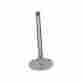 W0133-1646286-oea Original Equipment Exhaust Valve