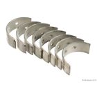 W0133-1718753 Glyco New Rod Bearing Mg