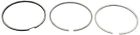W01331655684oes Oes Genuine Piston Ring 884379316746