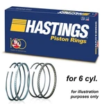 Hastings Piston Rings X6 For Jeep Grand Cherokee Exf Ram 1500 Ecodiesel 3.0L. Fixed Price $174.39.