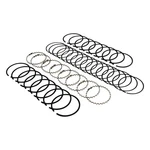 J8121685 Piston Ring Set For Series Jeep CJ5 Scrambler CJ7 CJ6 Commando J-2600. Fixed Price $88.85.