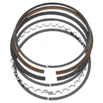 Total Seal Classic Race Piston Rings Plasma-moly Thickness, 8-CYLINDER, Set. Fixed Price $166.95.