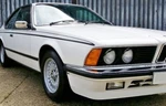 Bmw Series E24 Shark 635 Csi 633 Side Stripes. Fixed Price $169.00.