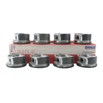 Mahle 224-3449WR.020 8PC Engine Piston Set With Rings .020" For 03-08 5.7L Hemi. Fixed Price $286.88.