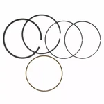 Genuine Ford Engine Piston Ring AU7Z-6148-G. Fixed Price $19.27.