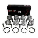 Speed Pro Fmp H617CP30 Sbc Chevy 350 11CC Domed Pistons + Moly Rings .030 355. Fixed Price $269.95.