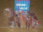 Dokuro 14711-PC1-000, Intake Valves, Qty 4, Fits Honda Accord & Prelude. Fixed Price $59.36.