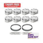 Race Tec Pistons RTP1001711 Forged Pack Of 8 Fits Gm Ls-series Performanc. Fixed Price $1110.17.