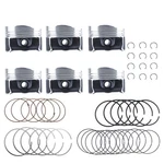 6X Engine Pistons Rings Set For Porsche Cayenne Vw Passat Audi Q7 VR6 3.6L Fsi. Fixed Price $149.99.