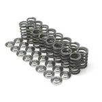 Brian Crower Nissan RB26DETT Single Spring & Titanium Retainer Kit. Fixed Price $405.00.