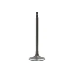 Dnj IV625 Intake Valve Fits 2000-2001 Nissan Altima. Fixed Price $32.99.