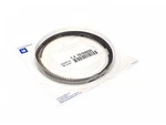 2008-2017 Engine Piston Ring Kit Genuine Oem Gm 19168090. Fixed Price $30.00.